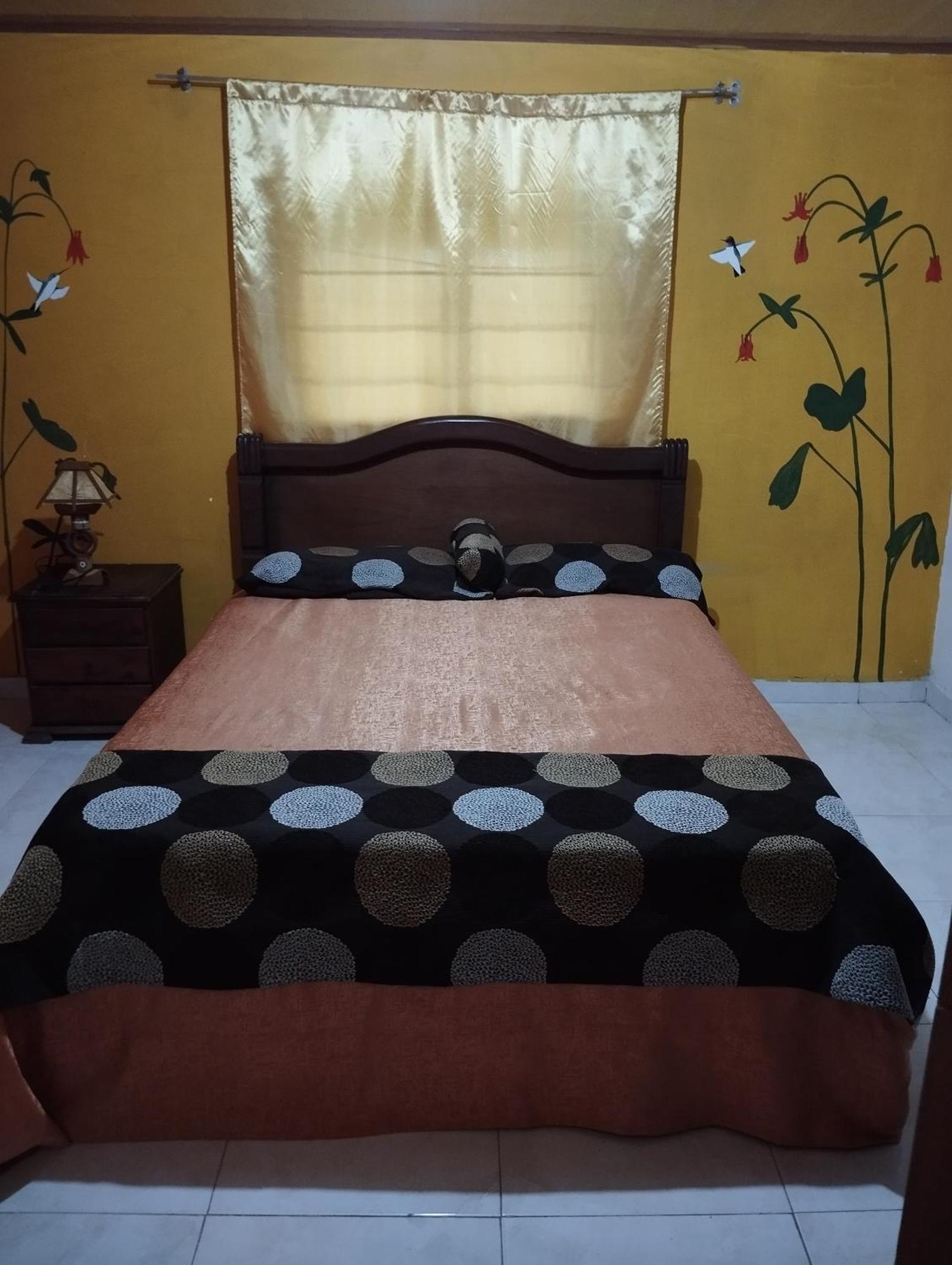 Hostal Sueno Paraiso- Observatorio Astronomico ポパヤン エクステリア 写真